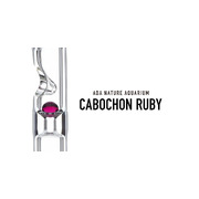 ADA Cabochon Ruby