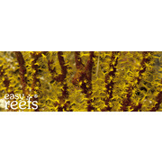 Easy Reefs Coral 15g