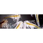 Easy Reefs Artemia 15g