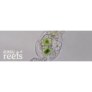 Easy Reefs Rotifer 15g