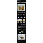 Land Scape Glue 800g