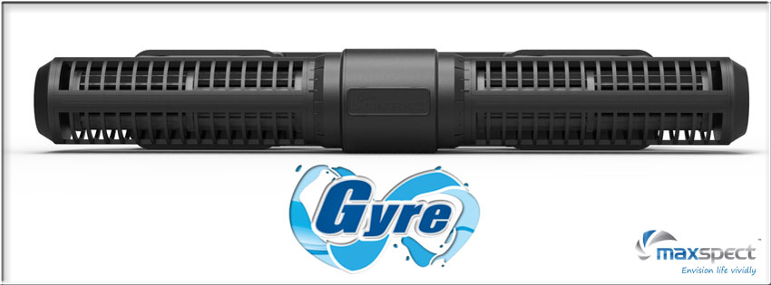 Gyre