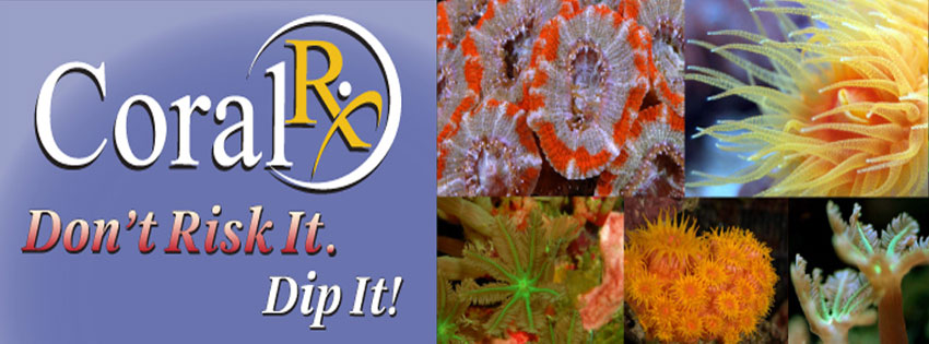 Coral RX