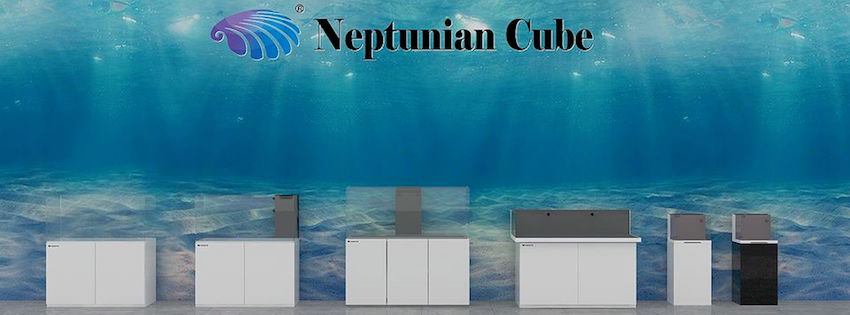 Neptunian Cube