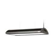 Solar RGB (A Plug)