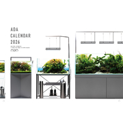 ADA NA Calendar 2026