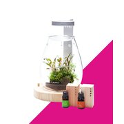 DOOA Glass Pot SHIZUKU