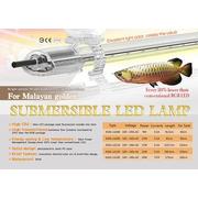 Aqua SPARKLING LED UltraSlim Yellow/Gold 60cm