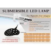 Aqua SPARKLING LED UltraSlim White/Blue 60cm