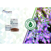 Maxspect Nano-Tech Phosphree 250ml