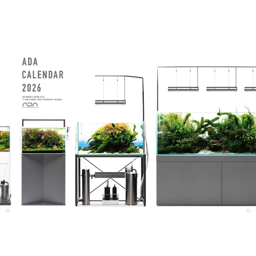 ADA NA Calendar 2026