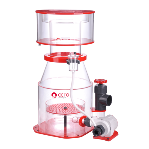 OCTO Regal 300-INT