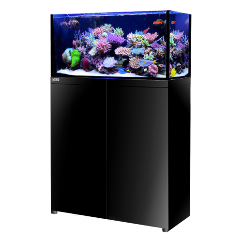 Lux Classic 90 Black