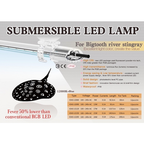 Aqua SPARKLING LED UltraSlim White/Blue 60cm