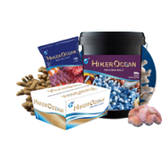 Hiker Ocean