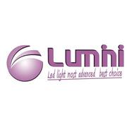 Lumini LED