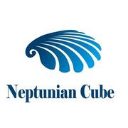 Neptunian Cube